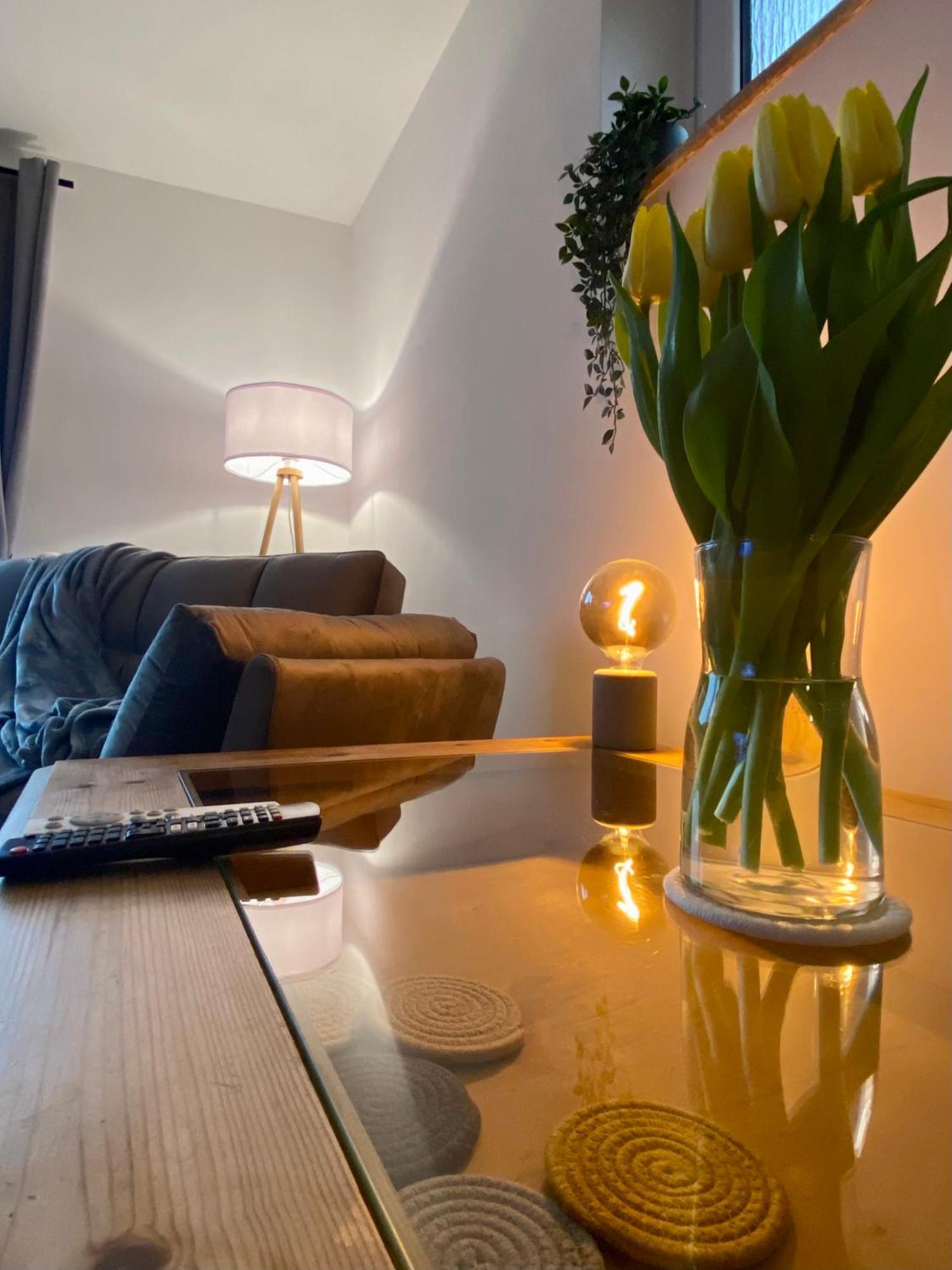 Traumhafte 115 Qm Ferienwohnung Am Steinhuder Meer, Ruhig, Komfortabel, Loggia, Parkplatz, Wifi Wunstorf Exteriör bild